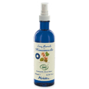 Witch Hazel Floral Water