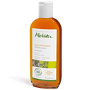 Oily Hair Shampoo