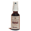 Buccomelvit spray buccal