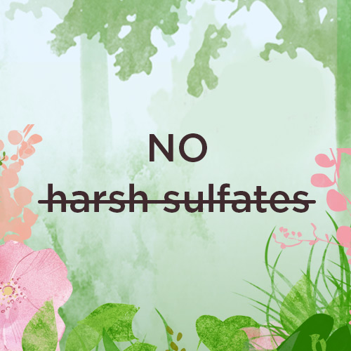 Harsh sulfates can irritate the scalp, inflame hair follicles & cause the hair to become dry & dull.