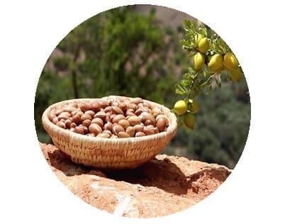 huile végétale d argan bio Melvita 