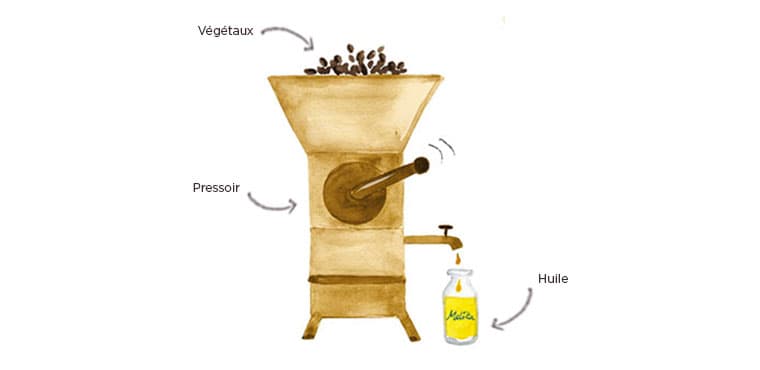 huile végétale cosmetique bio