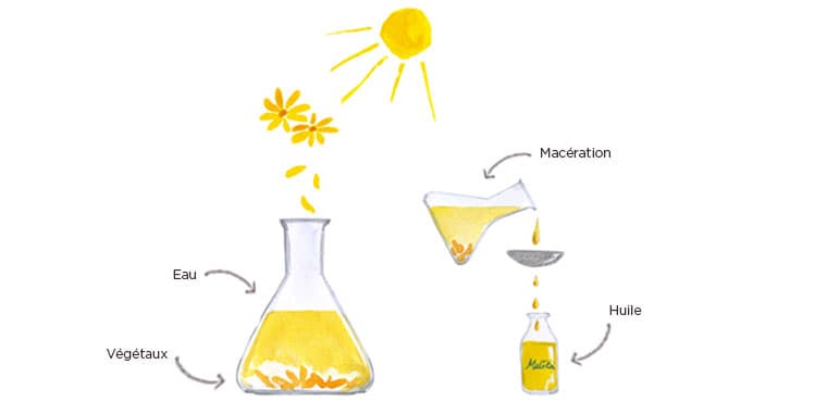 huile végétale cosmetique bio