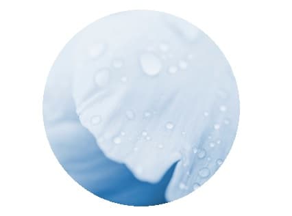 eau de rose bio Melvita