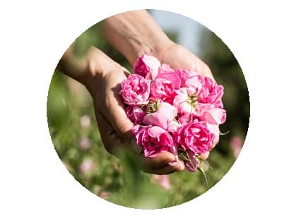 eau florale bio Melvita