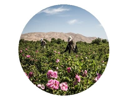 eau florale bio Melvita