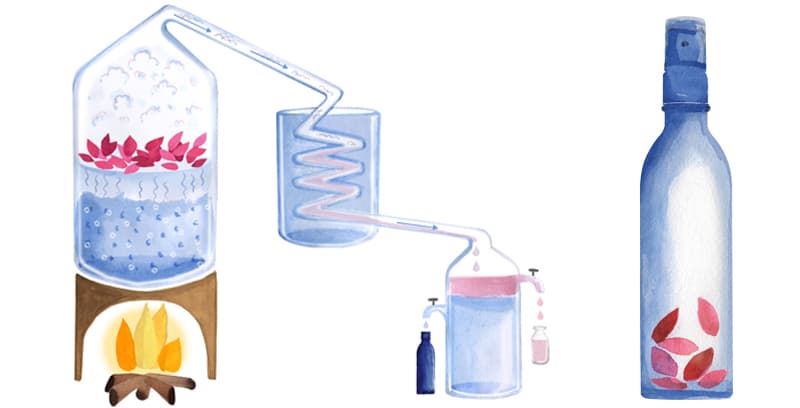 eau florale bio Melvita