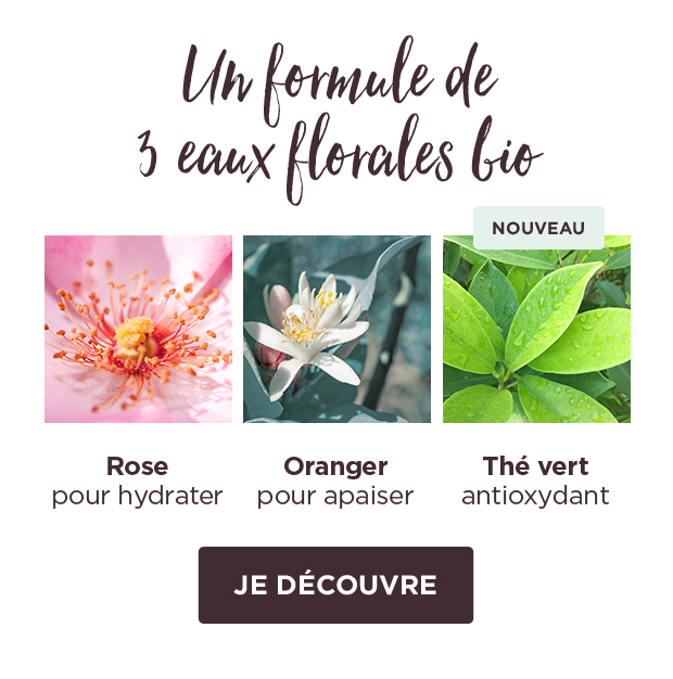 3 ingrédients