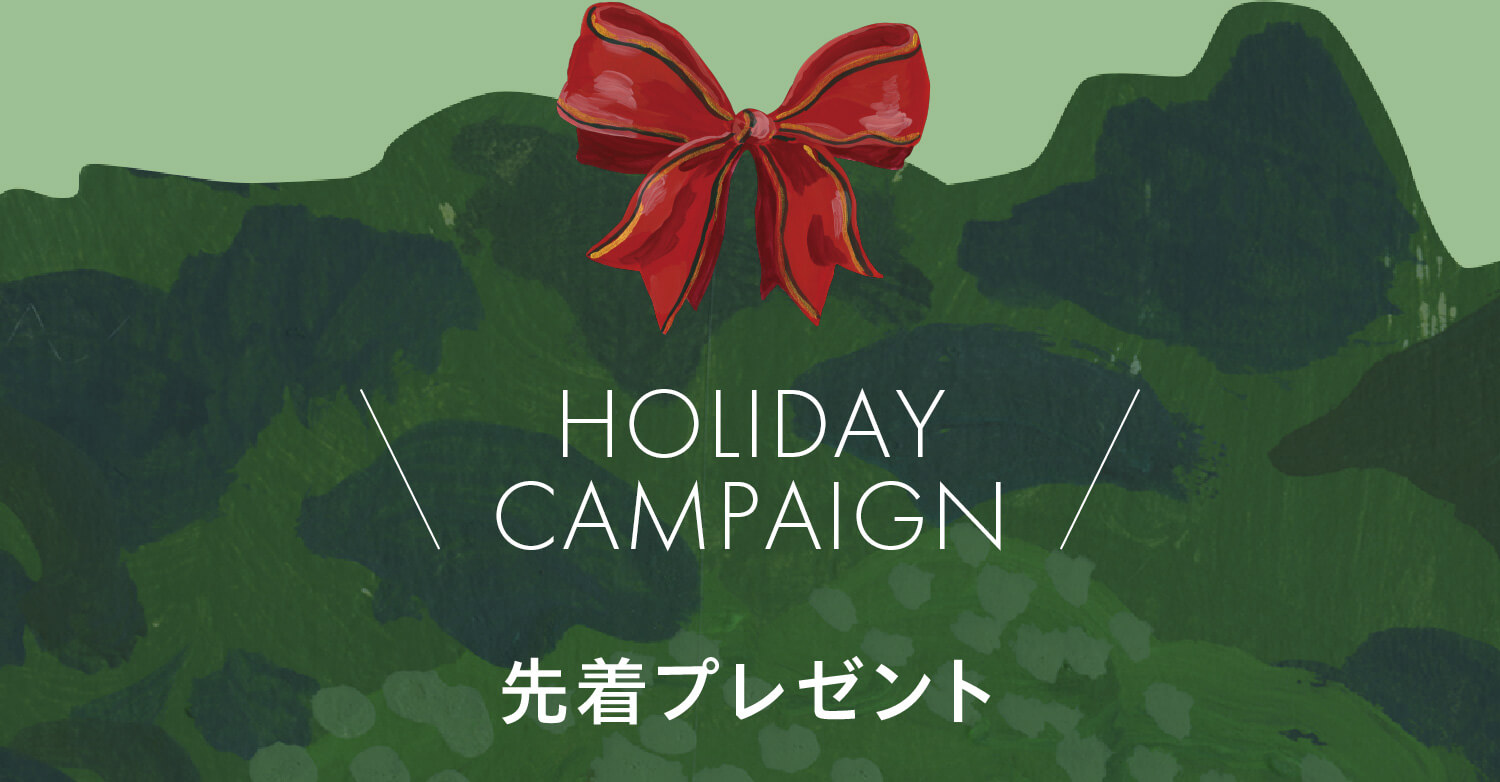 HOLIDAY CAMPAIGN