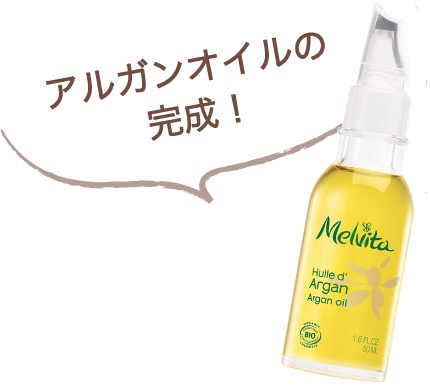 アルガンオイルの完成！