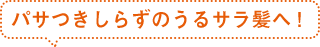 パサつきしらずのうるサラ髪へ！